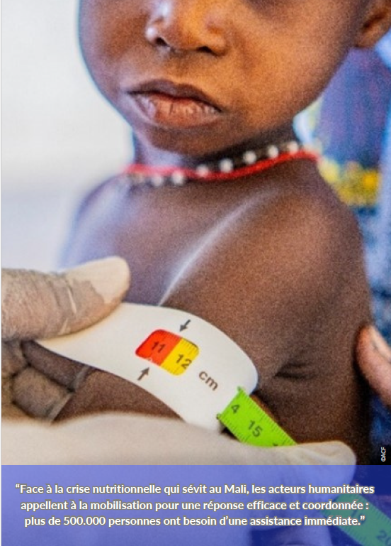 Note de Plaidoyer sur la crise nutritionnelle au Mali 2024